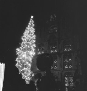 Reuzenkerstboom in Gouda, Bestanddeelnr 913-3088