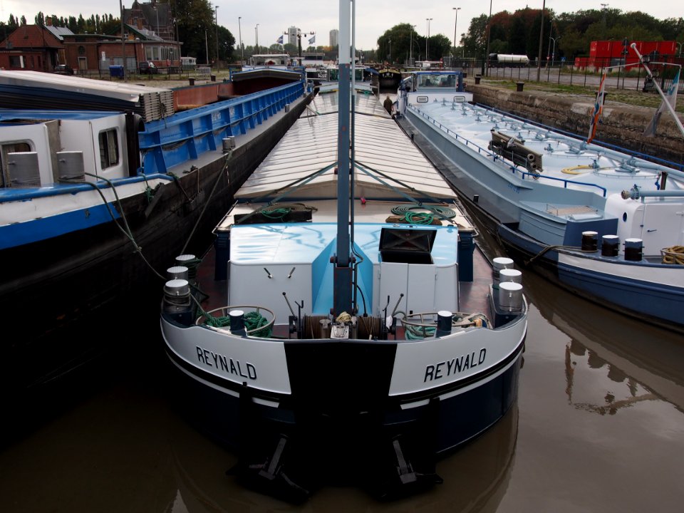 Reynald (ship, 1968), ENI 01822426, Royerssluis, Port of Antwerp