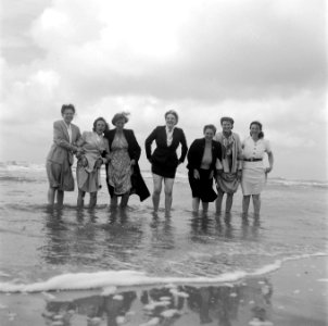 Reunie Marinevrouwen Bergen aan Zee, Bestanddeelnr 902-8083