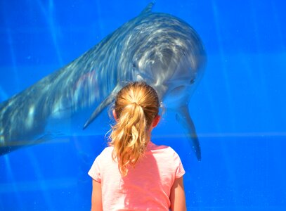 Playing interacting animal