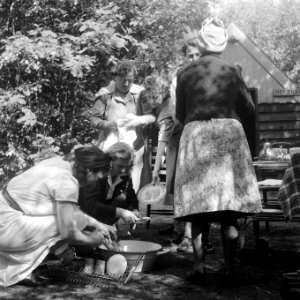 Reunie Marinevrouwen Bergen aan Zee, Bestanddeelnr 902-8091
