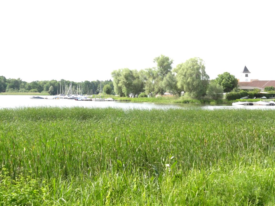 Rhodes (Moselle) étang