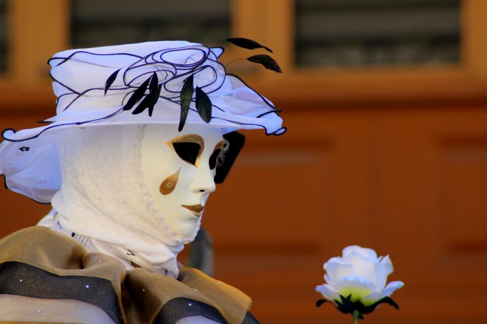 Mask disguise venice