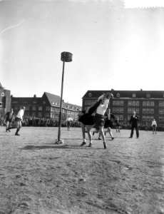 Rhoda tegen Westerkwartier, Bestanddeelnr 909-4242