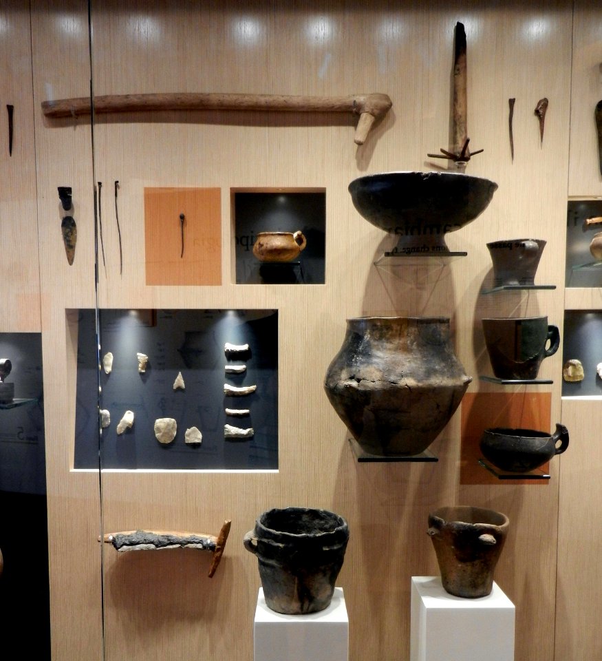 Reperti Museo delle palafitte di Fiavè 05