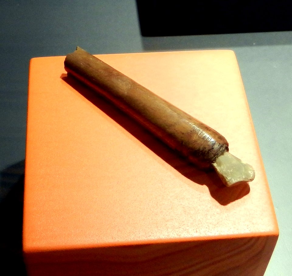Reperti Museo delle palafitte di Fiavè 16