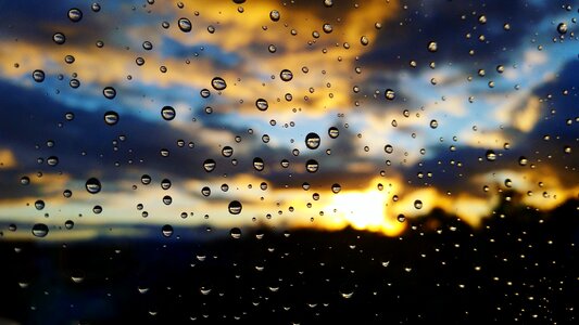 Sun nature beauty