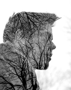 Face tree people photo