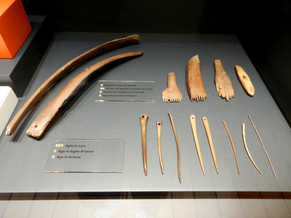Reperti Museo delle palafitte di Fiavè 20