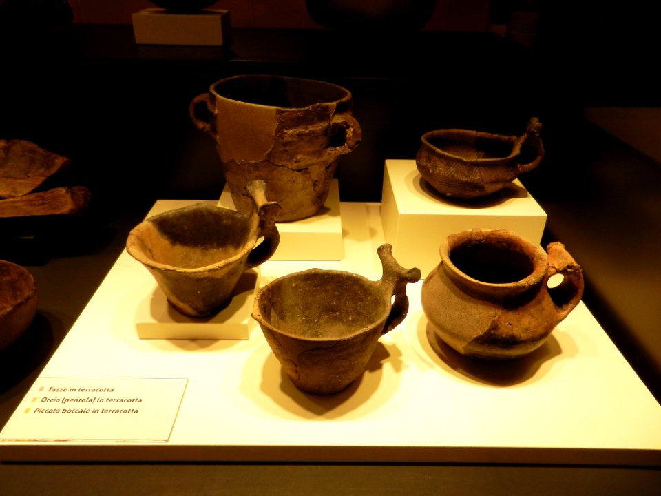 Reperti Museo delle palafitte di Fiavè 17