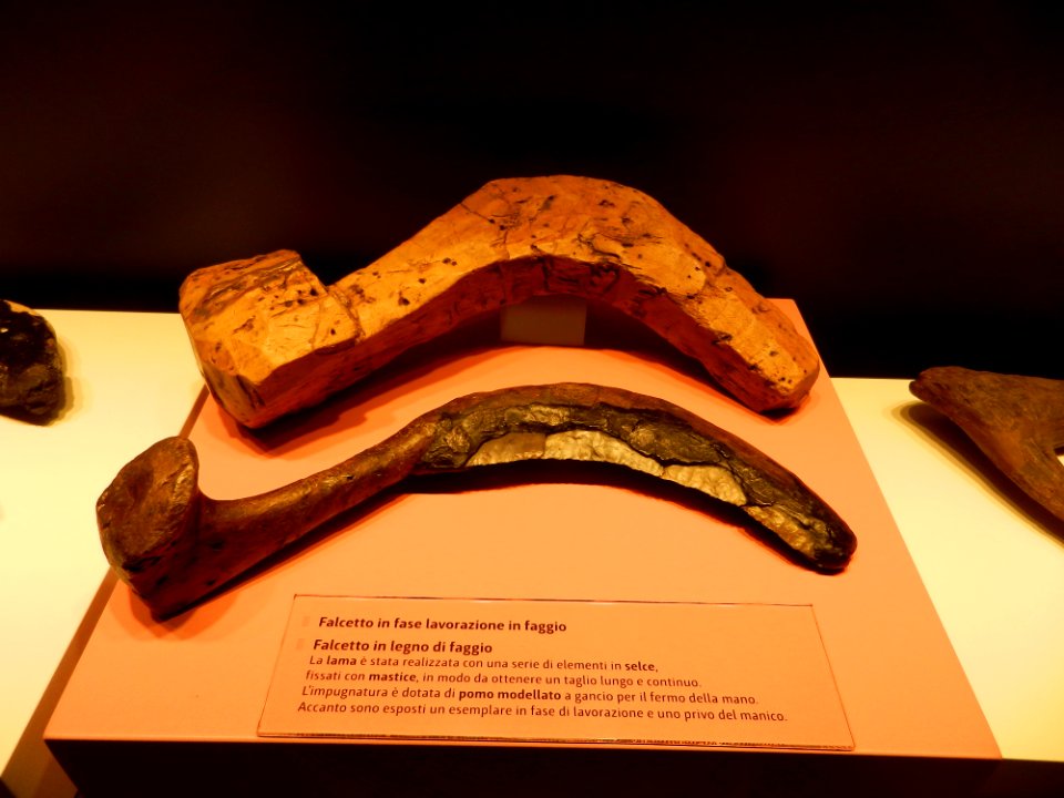Reperti Museo delle palafitte di Fiavè 10