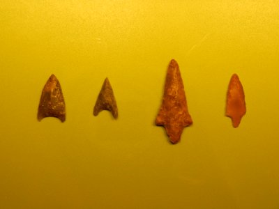 Reperti Museo delle palafitte di Fiavè 33