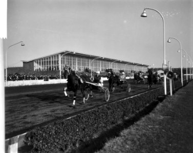 Renbanen, paardensport, draf- en rensport, Utrecht, Bestanddeelnr 918-4462