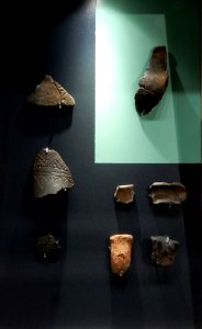 Reperti Museo delle palafitte di Fiavè 02