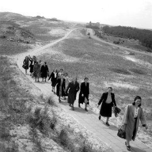 Reunie Marinevrouwen Bergen aan Zee, Bestanddeelnr 902-8088 photo