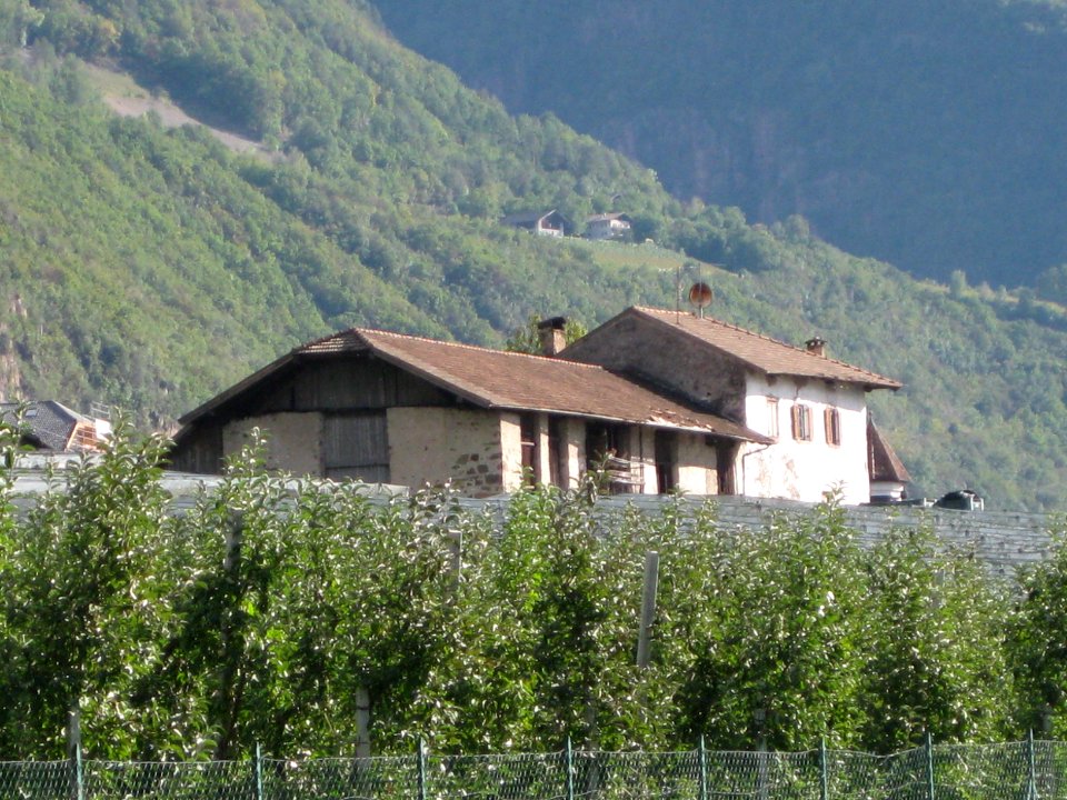 Rennerhof Leifers 2