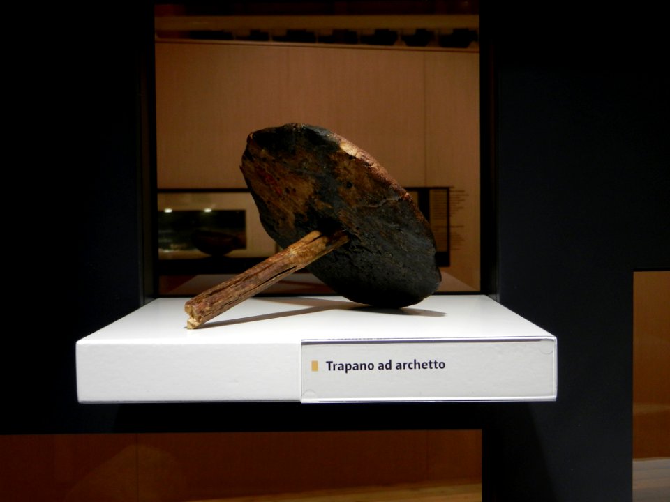 Reperti Museo delle palafitte di Fiavè 26