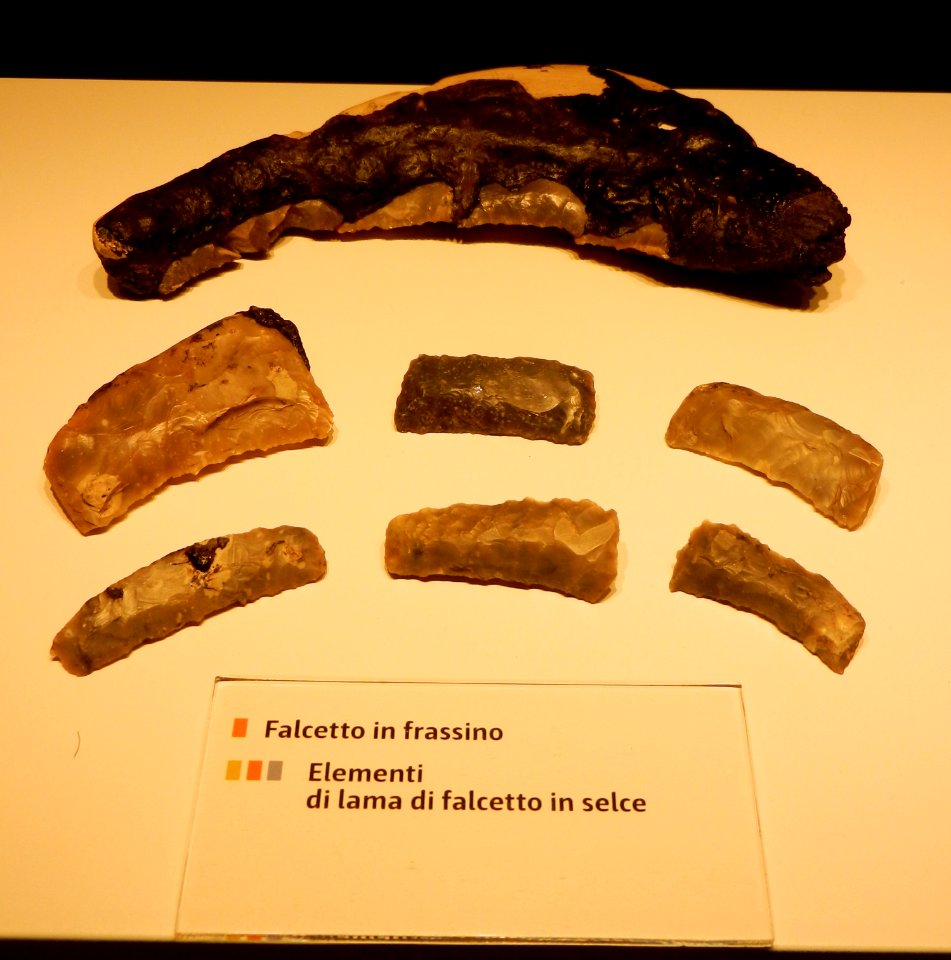 Reperti Museo delle palafitte di Fiavè 11