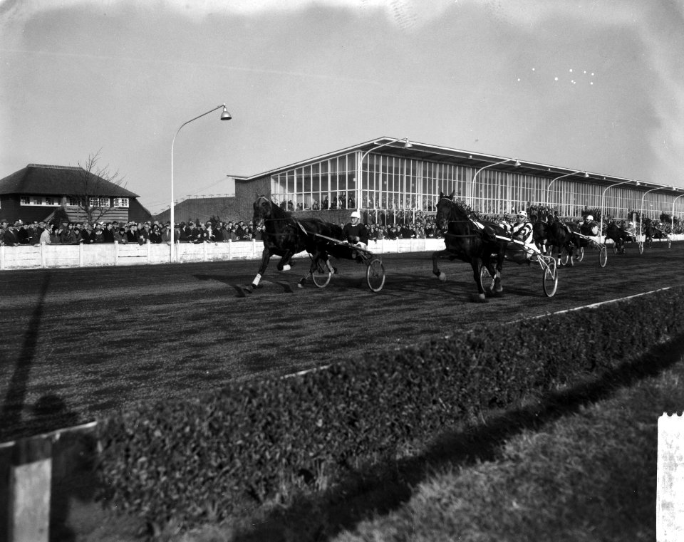 Renbanen, paardensport, draf- en rensport, Utrecht, Bestanddeelnr 918-4460