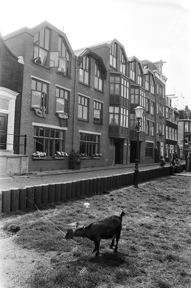 Rep. huizen Bickersgracht, opdracht Brabant Pers, Bestanddeelnr 929-2496