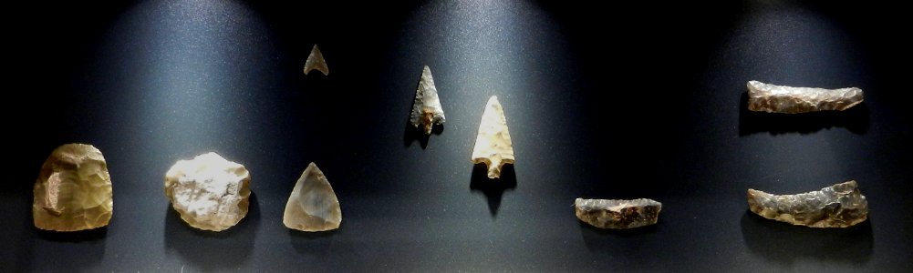 Reperti Museo delle palafitte di Fiavè 04