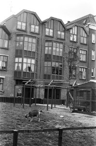 Rep. huizen Bickersgracht, opdracht Brabant Pers, Bestanddeelnr 929-2494
