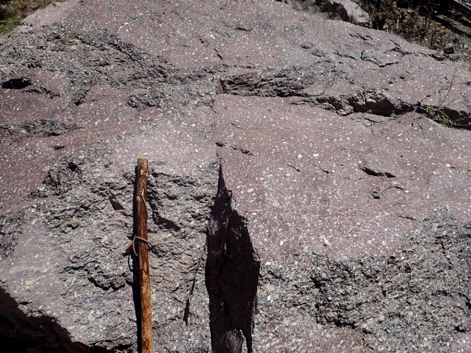 Rendija Canyon Member