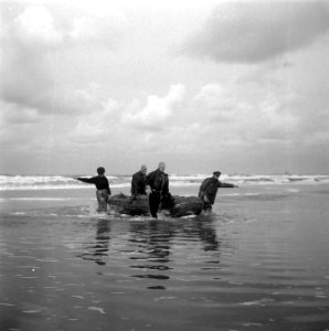 Reportage MOD, Bestanddeelnr 902-3790