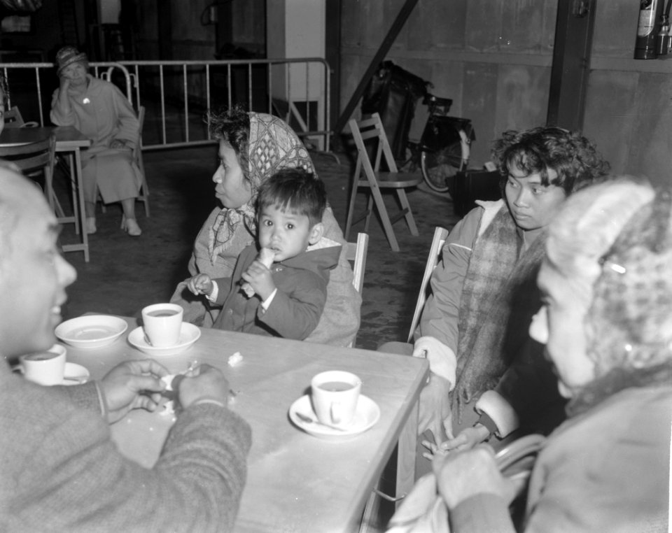 Repatrianten uit Nieuw-Guinea op Schiphol aangekomen, Bestanddeelnr 914-1985