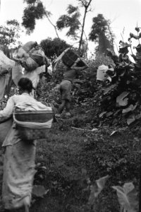Repatrianten naar Republikeins gebied., Bestanddeelnr 461-4-7