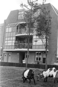 Rep. huizen Bickersgracht, opdracht Brabant Pers, Bestanddeelnr 929-2498