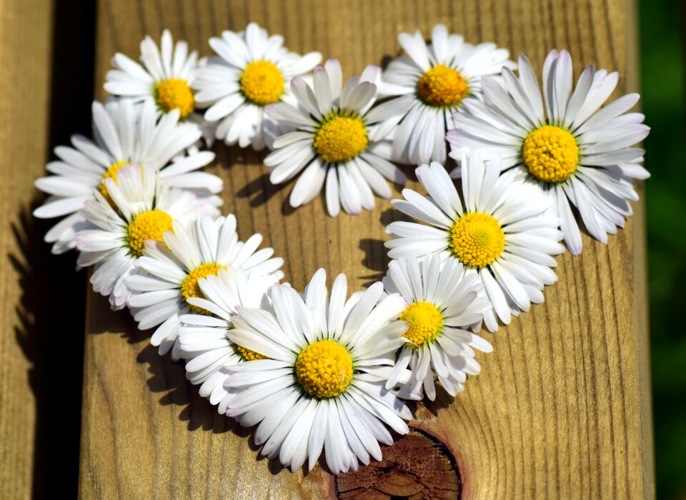 Valentine's day greeting symbol