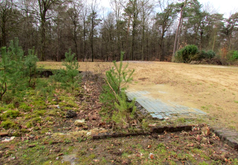 Restant gebouw F (Radio Kootwijk)