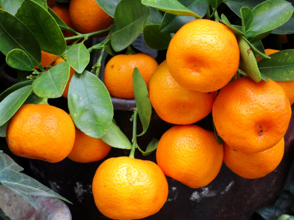 Fresh healthy food
