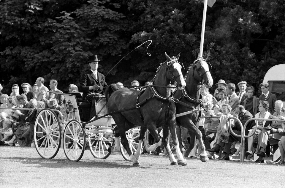 Reportage Concours Hippique Zandpoort, Bestanddeelnr 914-1780