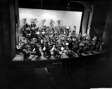 Repetitie van het London Symphony Orkest in Rotterdam, Bestanddeelnr 911-0501