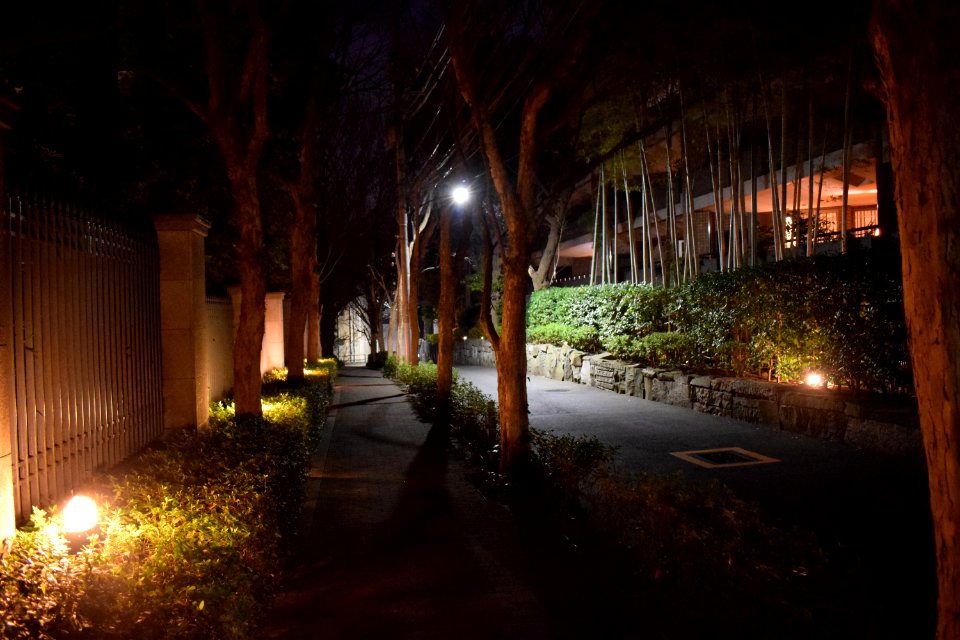 Residential street along 麻布霞町パークマンション