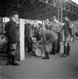 Reportage van het interneringskamp op de Levantkade te Amsterdam. Nu zijn er ca., Bestanddeelnr 900-4201