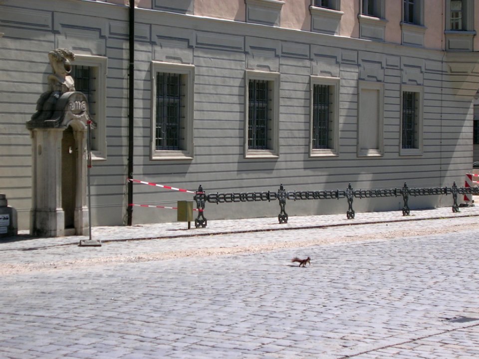 Residenzplatz 1 Eichstätt -red squirrel