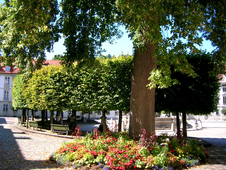 Residenzplatz Eichstätt grüner Ostteil