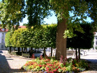 Residenzplatz Eichstätt grüner Ostteil