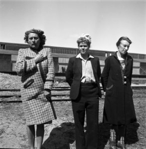 Reportage van het interneringskamp op de Levantkade te Amsterdam. Nu zijn er ca., Bestanddeelnr 900-4208