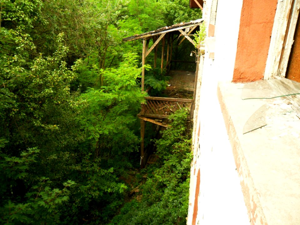 Restauracja Widok 5