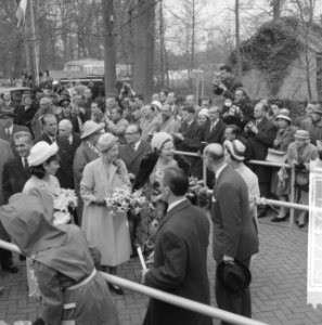 Reportage van de Keukenhof, Bestanddeelnr 913-8576