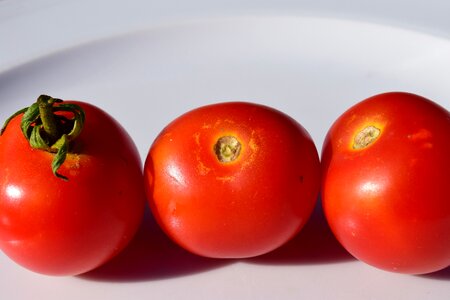 Starter vegetables red photo