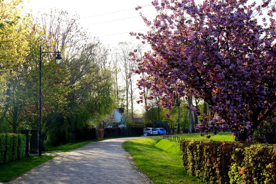 Ressensestraat, Bemmel