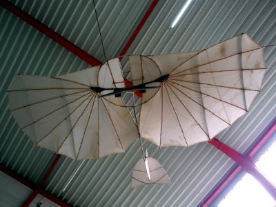 Replica of one of the first gliders at Flugausstellung Hermeskeil, pic3