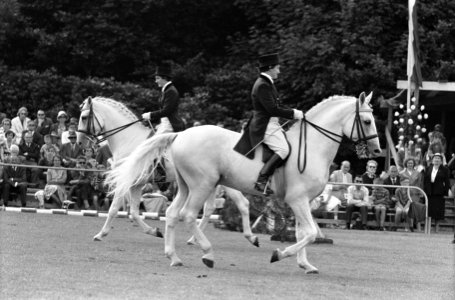 Reportage Concours Hippique Zandpoort, Bestanddeelnr 914-1782