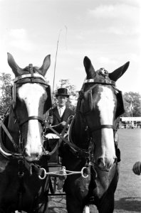 Reportage Concours Hippique Zandpoort, Bestanddeelnr 914-1778