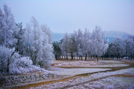 Nature wintry winter mood photo